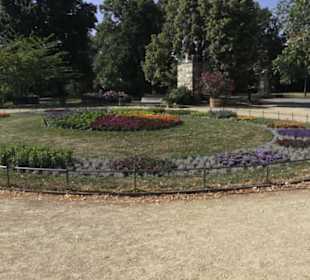 Altstadt - Rund um das Terrassenufer