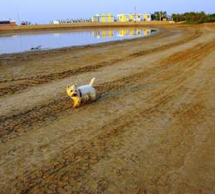 Strand in Bibione Juni 2012