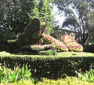 Parkanlage / wunscherschön angelegte Botanik