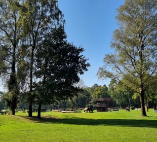 Vielseitigkeitsplatz 