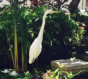 Unser morgendlicher Besuch beim Frühstück 