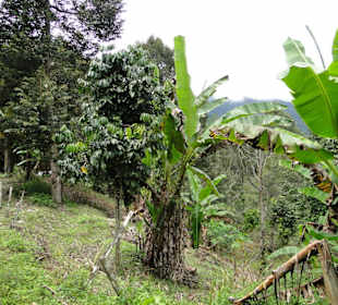 Ausflug Wildfife Expeditions