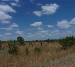 Krüger Nationalpark