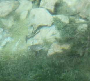 Озеро Курнас 