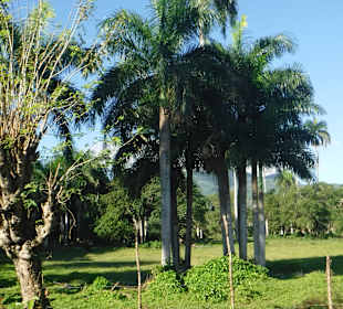 Bacardi Insel - Isla Cayo Levantado