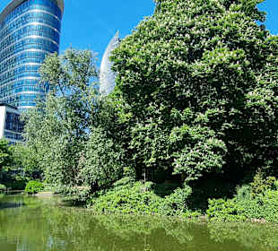 Im botanischer Garten 