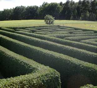 Blick über den Irrgarten