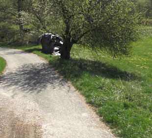 Waldlehrpfad an der Lauter