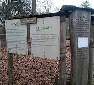 Wildpark Betzenberg in Kaiserslautern