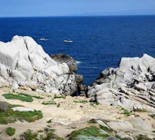 In den Granitfelsen des Capo Testa