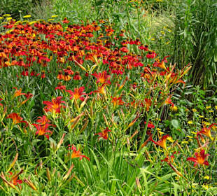 Rundgang durch den Park der Gärten
