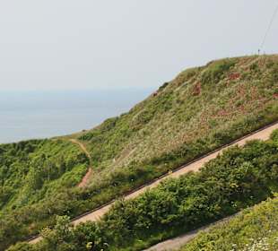 "Grün ist das Land...."