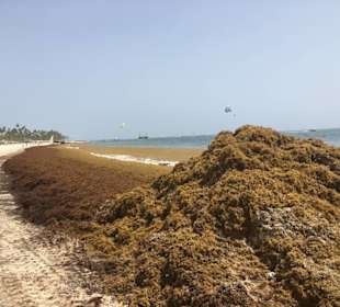 Strand Bavaro Beach Punta Cana 13.06.18