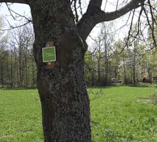 Sport- und Freizeitpark Markwasen