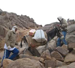 Mosesberg