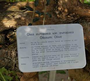 Anlage Planten un Blomen