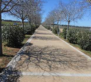 Da rollt es sich traumhaft schön