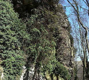 Eingang zur Haupthöhle