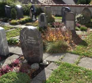 Friedhof Steingebronn