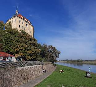 Stadtrundgang Oschatz