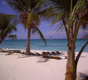 Paradies - Insel Saona