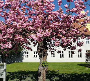 Spreewald