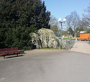 Frühling im Westfalenpark Dortmund