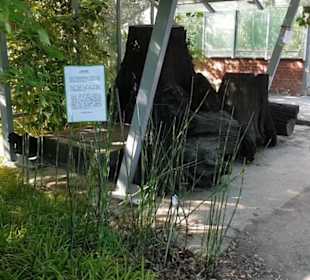Botanischer Garten