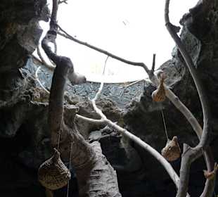 Fundacion Cesar Manrique