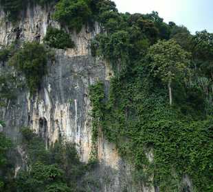 Batu Caves von der Strasse aus