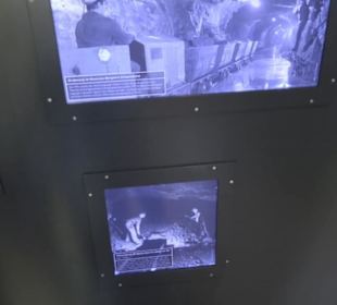 Museum für Naturkunde