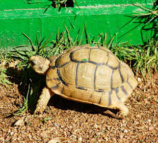 Coraya Bay im Winter