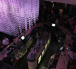 Von Oben in die Bar fotografiert