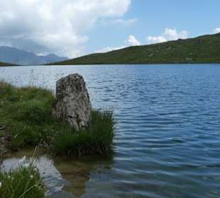 Torsee