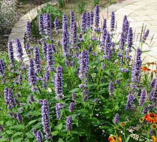 Rundgang durch den Park der Gärten