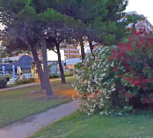 In der City mit dem Rad