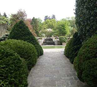 Viale del giardino botanico