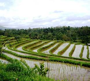 Traumhafte Landschaft auf Bali