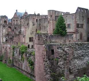 Heidelberger Schloss - 1