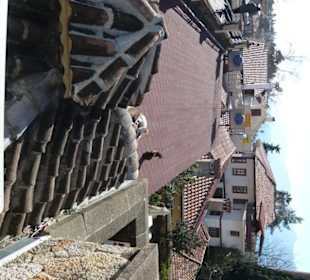 Blick über die Altstadt