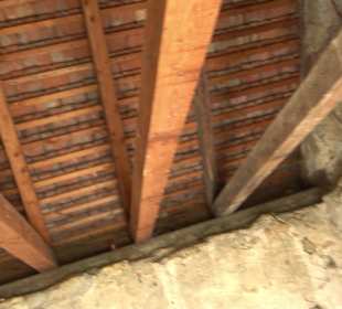 Naturdenkmal Lutherlinde