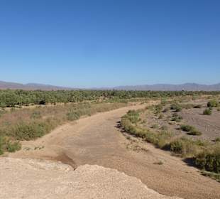Weite Wüste