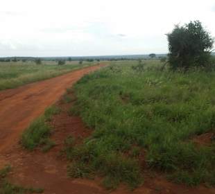 Sarova Salt Lick Game Lodge