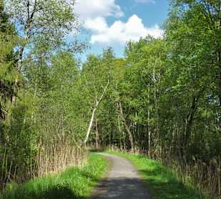 Eindrücke vom Rundweg um den Bederkesaer See 