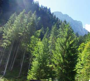 Da so seitlich geht es hoch