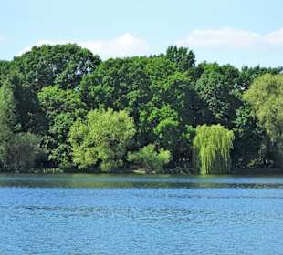 Blick auf das westliche Ufer des Maschsees