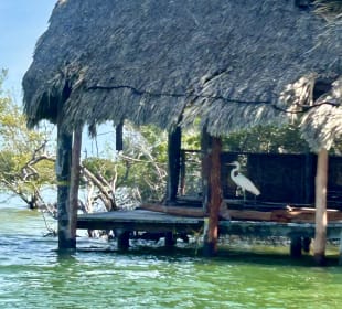 Holbox