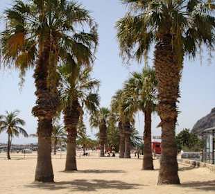 Playa de las Teresitas