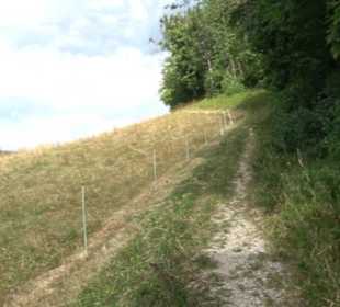 Berg Burgholz Holzelfingen