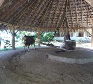 So wird hier gearbeitet